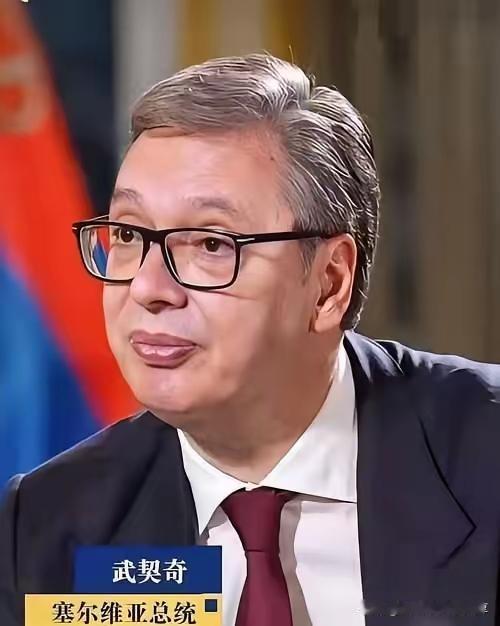 一直听人说武契奇是欧洲最难得的政坛智者，出于好奇特意去了解了他。不查不知道，一查