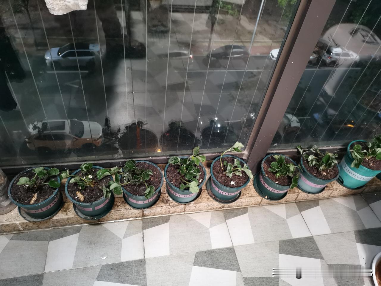 小时候总怨爸爸妈妈重男轻女，有好吃的都让着弟弟，弟弟吃苹果，弟弟每天吃牛奶。