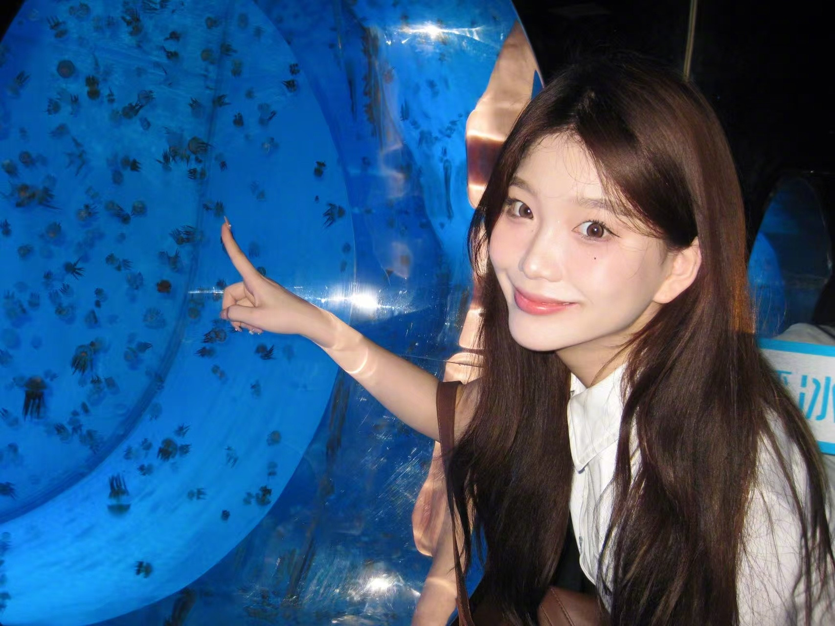 𝑩𝒍𝒖𝒆💙▸闯入蓝色海洋世界🐳​​​