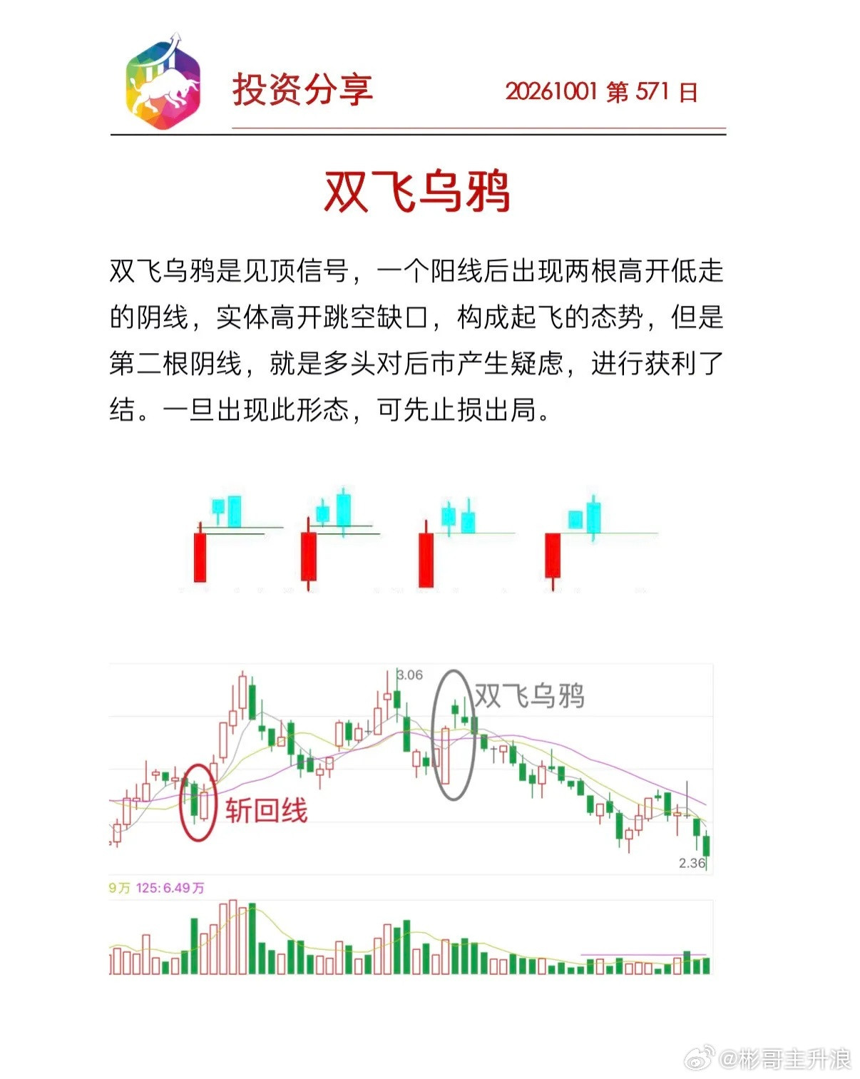 双飞乌鸦形态介绍​​​