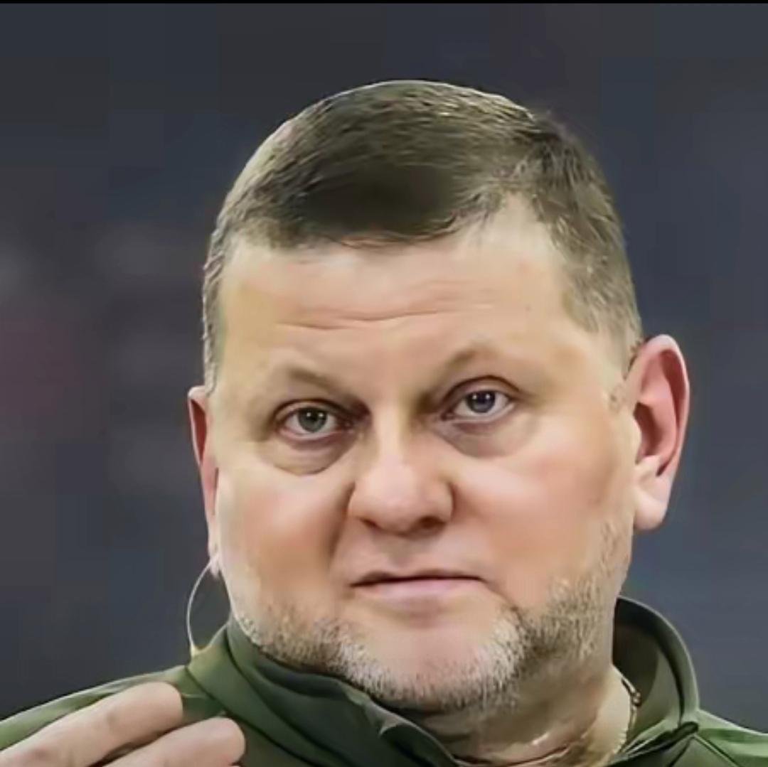 还没停火呢，已经开始患上焦虑症了……乌克兰前总司令扎卢日内最近放出警示：等俄乌