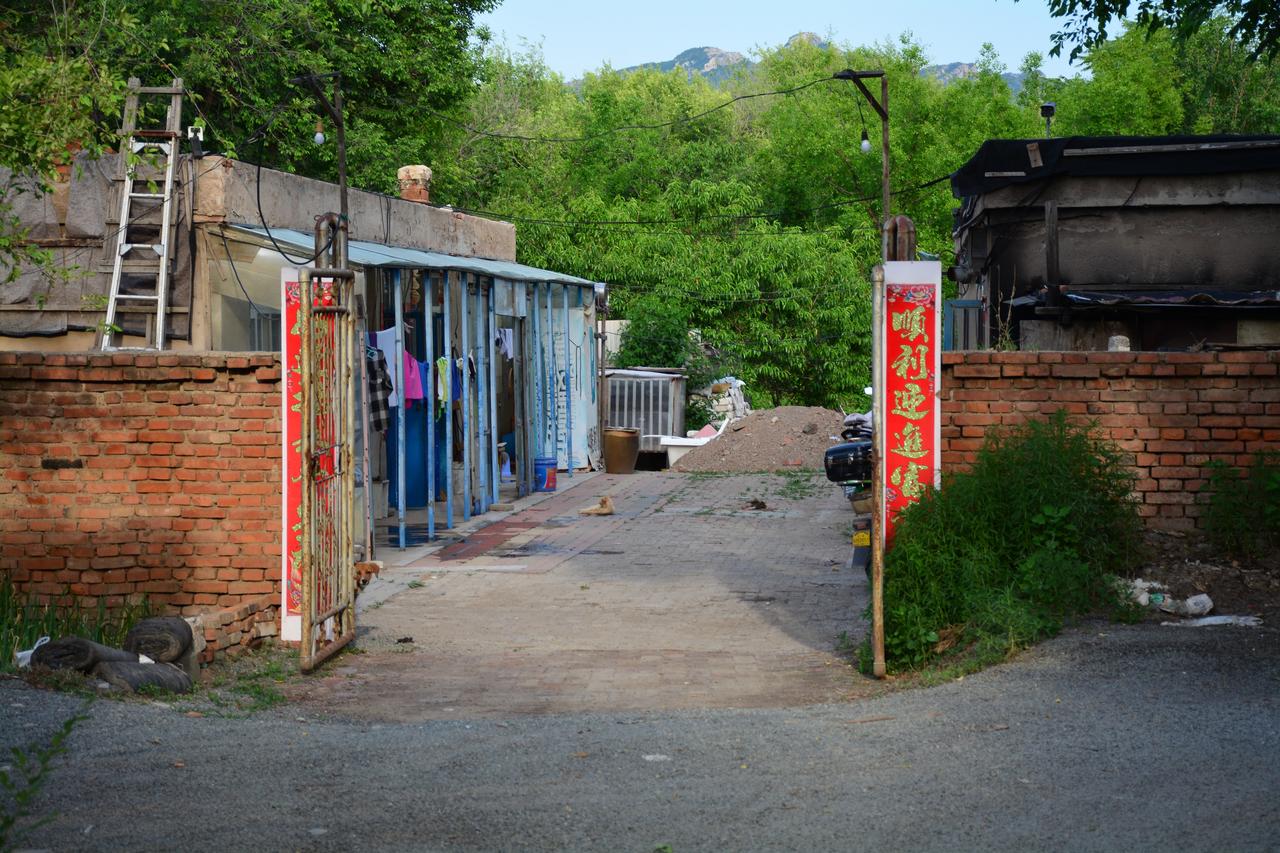 东北的农村景象。看着就亲切，小路、小院、绿树成荫。我家附近有个城中村，我经常