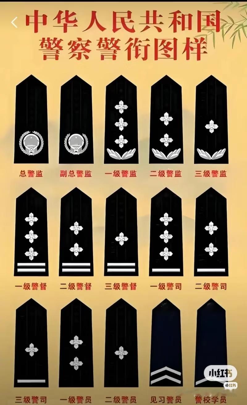 这估计也侵权了吧？LV，去告玛德，这么经典的东西凭啥归你所有