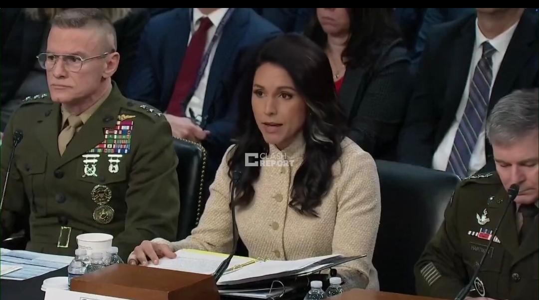 美国国家情报总监图尔西·加巴德在国会作证称，中国寻求发展武力夺取台湾的能力，但目