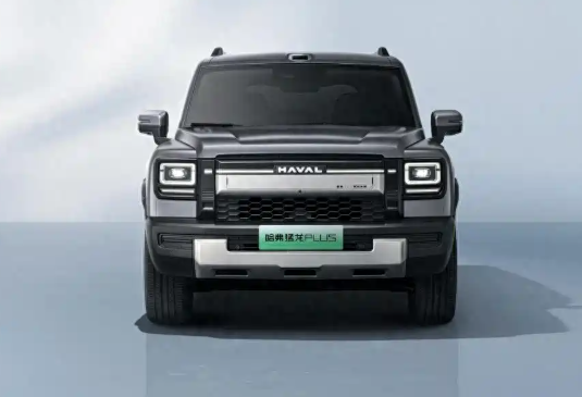 哈弗猛龙PLUS七座版你说要七座长城真就给你造出来了座椅布局2+3+2。第二排