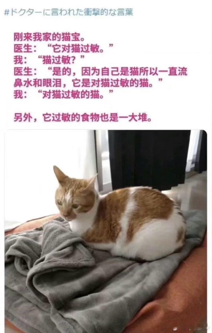 对猫过敏的猫，饭太好吃而流泪的猫，缺乏动力而睁不开眼的猫猫咪猫