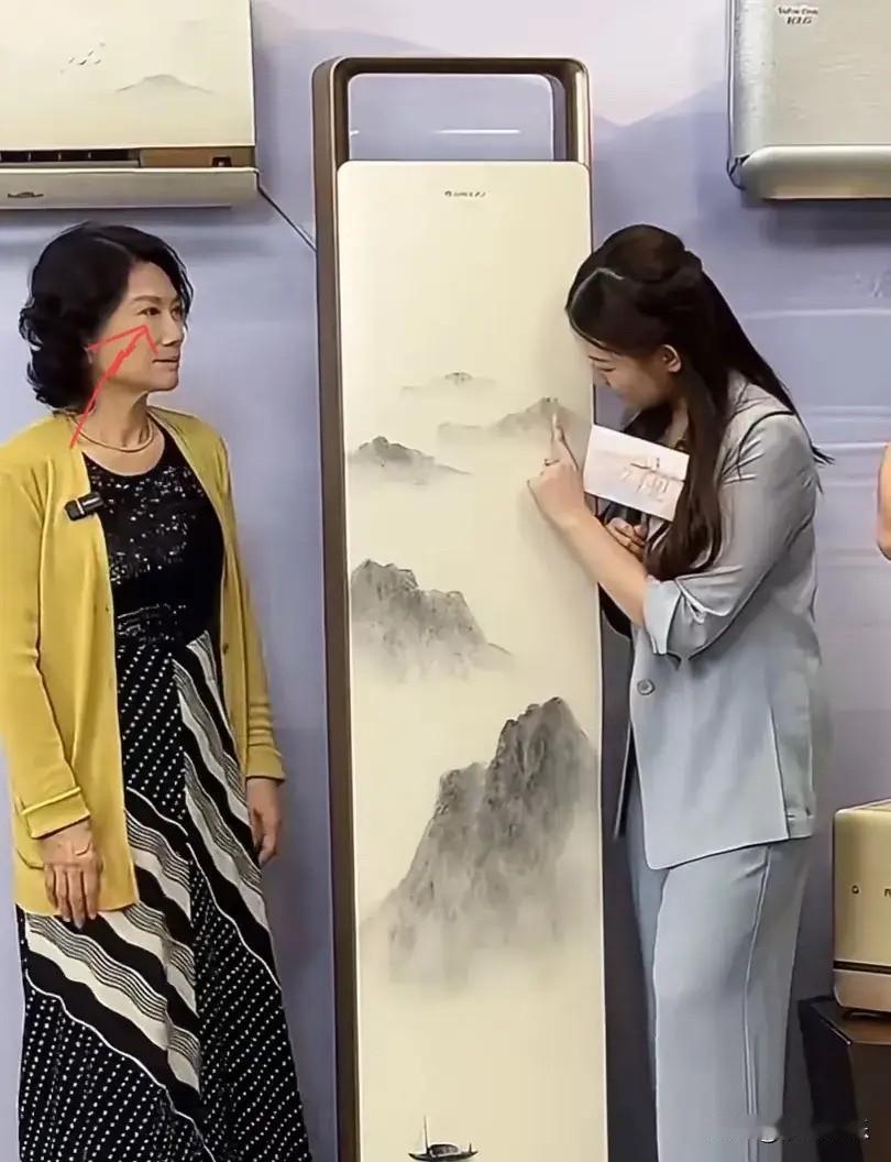 董明珠的高明策略：用批评教育孟羽童引发热议，背后竟是为了提高产品销量！