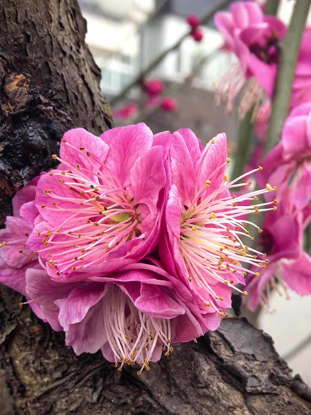 痔疮，从年轻的时候就有，稍不注意吃了辛辣的食物，第二天火辣辣的疼，曾经萌生过要去