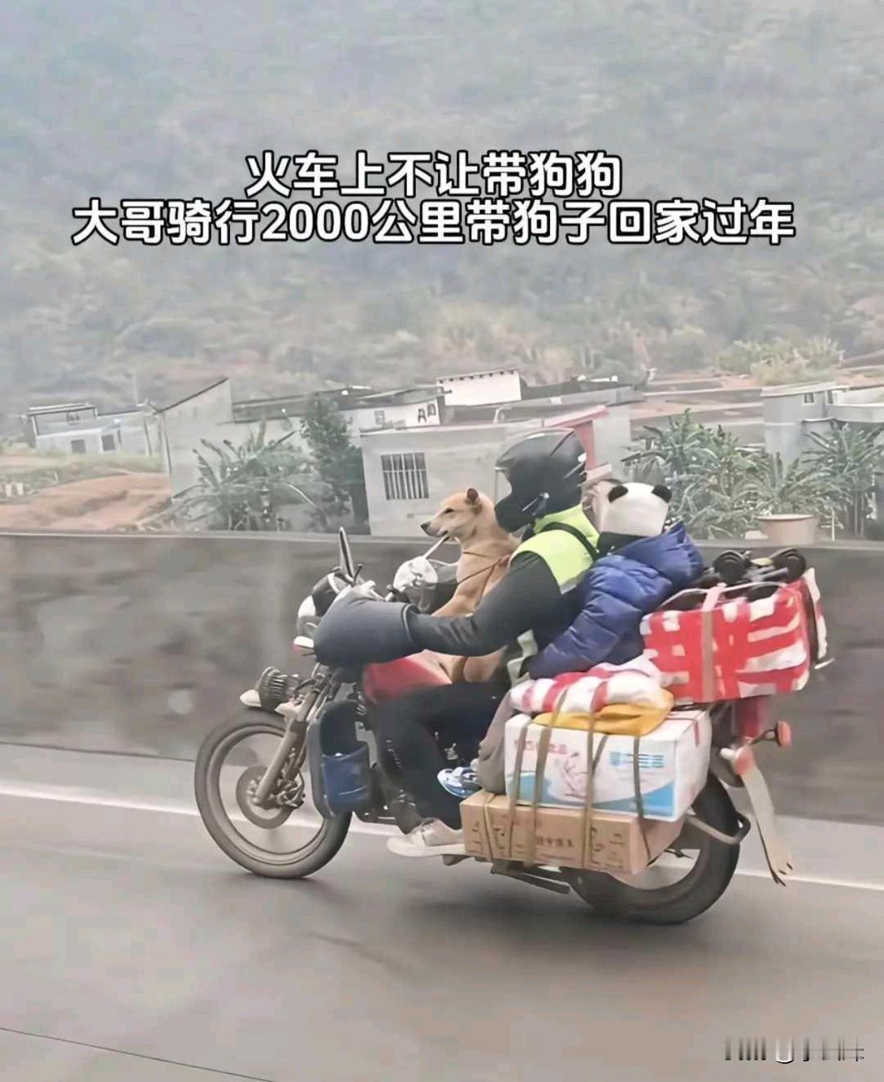 前面其实是个人，因为太冷，冻成狗了[捂脸哭]