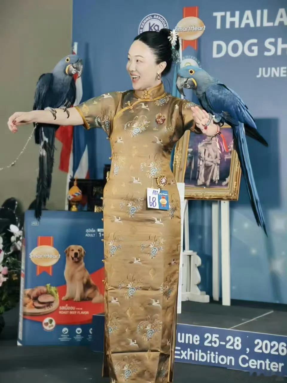 霍思燕养什么都争气霍思燕家的鸟又夺冠了别人养宠物只是陪伴，霍思燕直接批量培养冠军