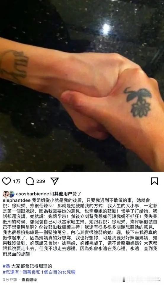小S终于复出了，亲自发文跟姐姐大S作最后的告别。直言：“不想珊你骂我胆小无用，接