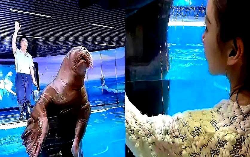 汪小菲又在直播间情绪上头,前妻家有祭日的消息刚传到耳边,弹幕都在猜他会不会再开大