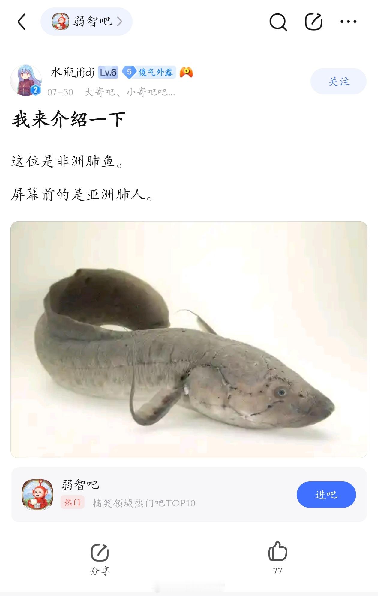 介绍一下弱智吧日常​​​