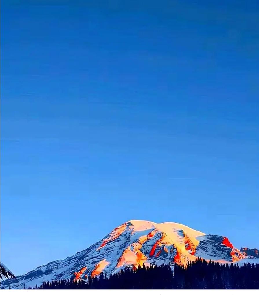 殡葬行业最近冲上热搜，导火索是一位墓园经理在推销时脱口而出“年轻人良心被狗吃了”