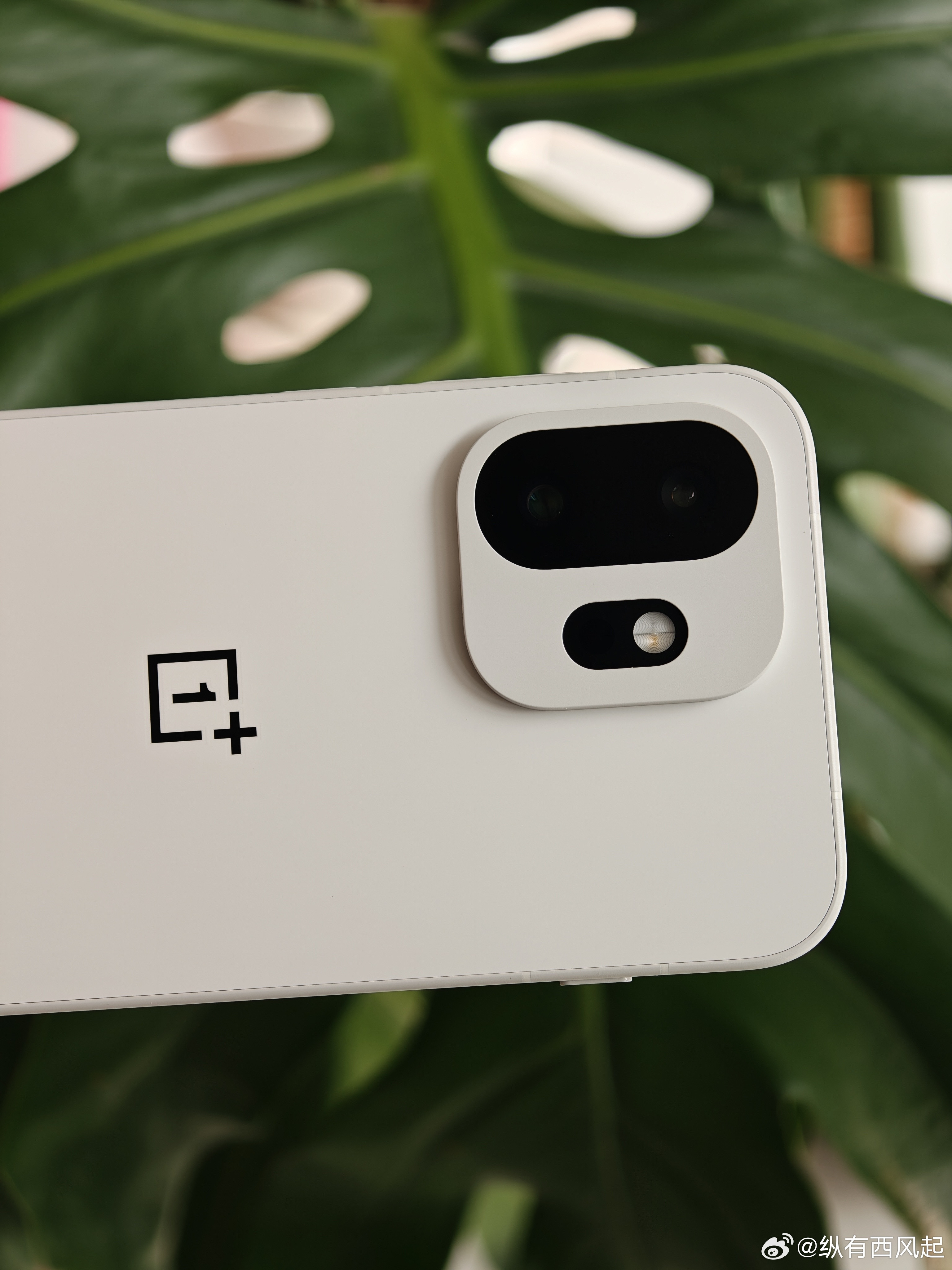 一加15T「治愈白巧」开箱了，依然简约耐看，依然是一加家族化设计(左边一个1，