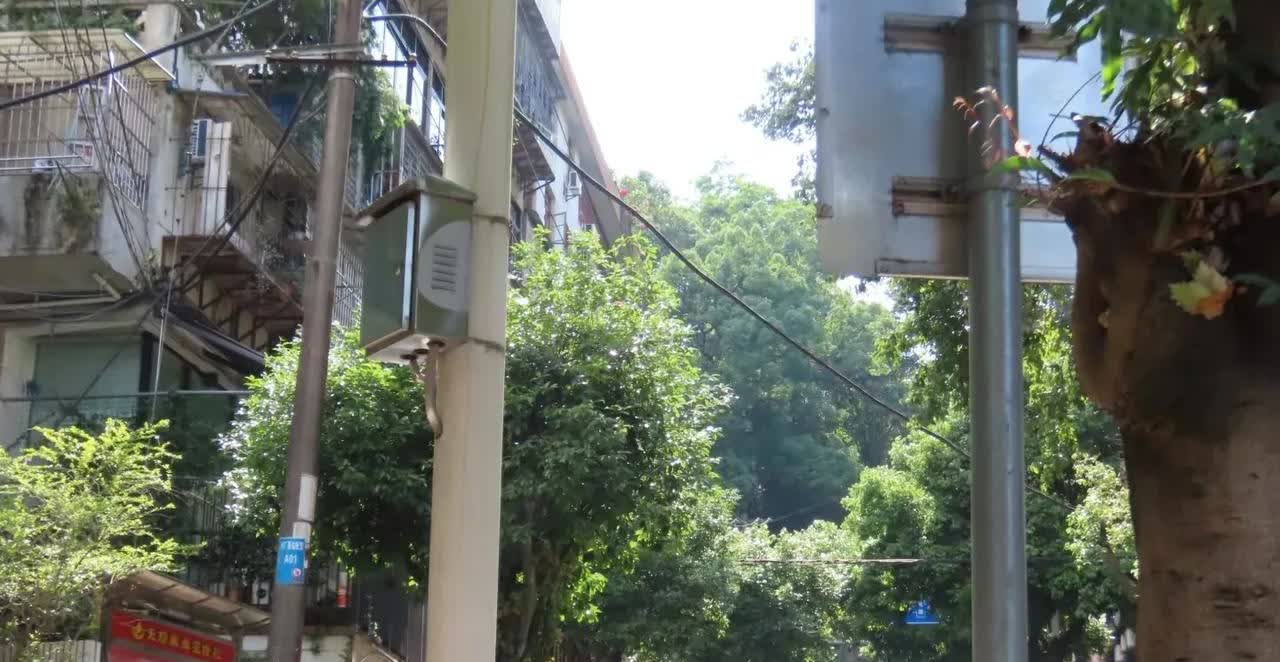 现在骗子太猖獗了，就为骗老人那点钱，啥损招都使出来。我婆婆就是，为了领几个鸡蛋，