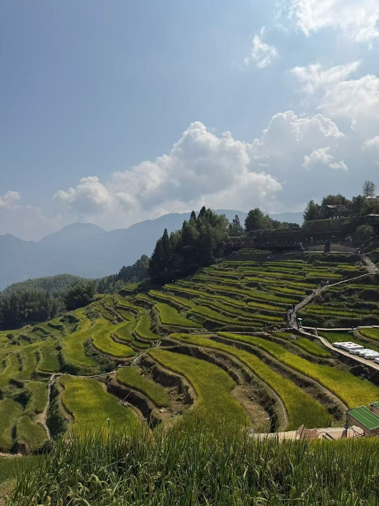 浙江旅游，国庆丽水美景真的美！