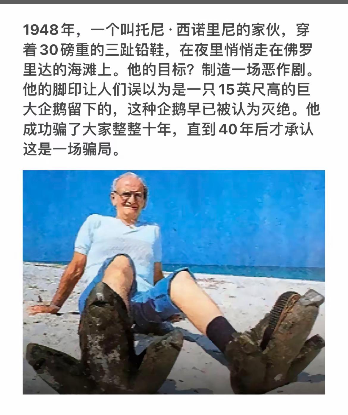 “巨企鹅”骗局：40年谎言揭晓