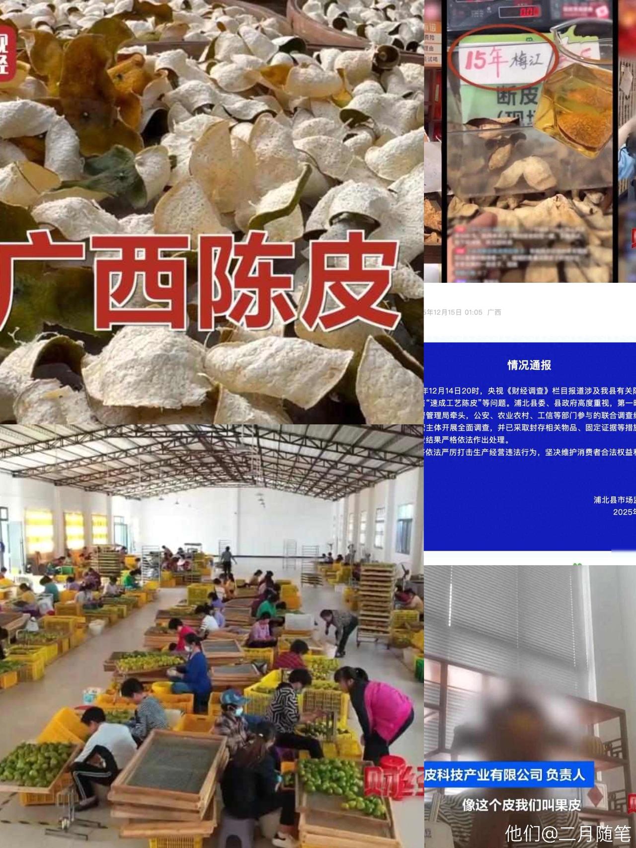 央视曝光！已连夜成立调查组！震惊！央视深夜揭露新会陈皮造假黑幕，速成工
