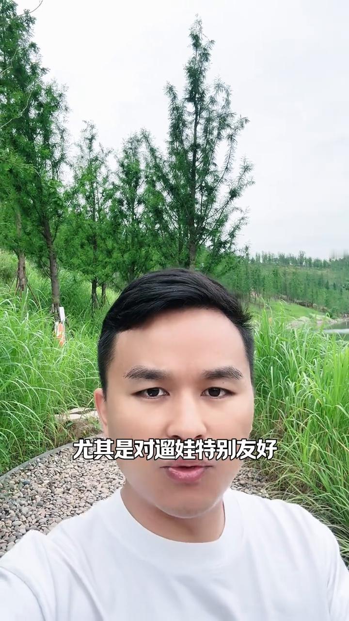 重庆新晋公园天花板级惊艳。重庆新晋公园天花板来了，这里绝对是重庆目前最好逛的一