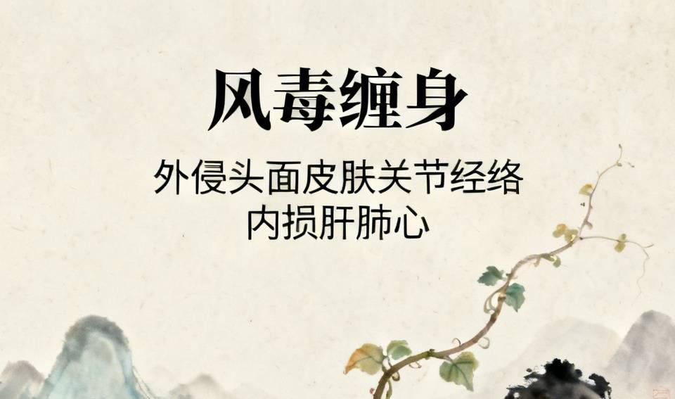 风毒缠身：外会伤你的头面皮肤、关节经络，内会伤你的肝、肺、心！可用这些中成药对证