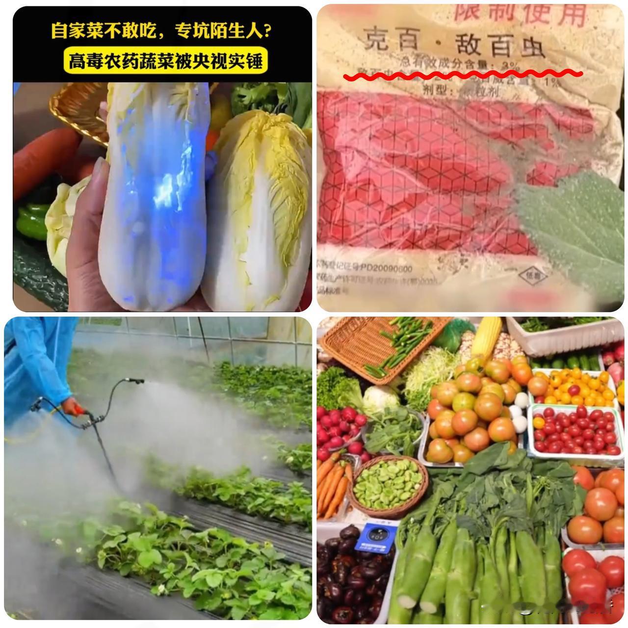 自己都不敢吃！央视曝光天门毒菜地，禁药换马甲暗地销售，万幸未流…央视重