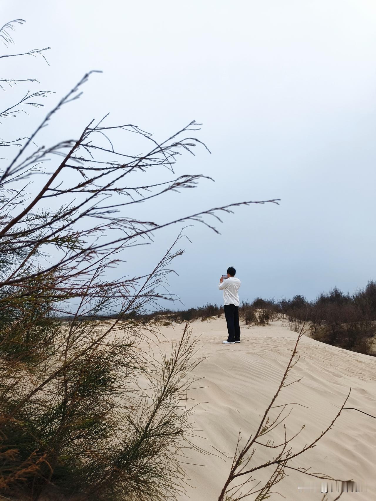 这个春节彻底看懂一个道理：低端年味，酒肉应酬，热闹过后只剩空虚。中端年味