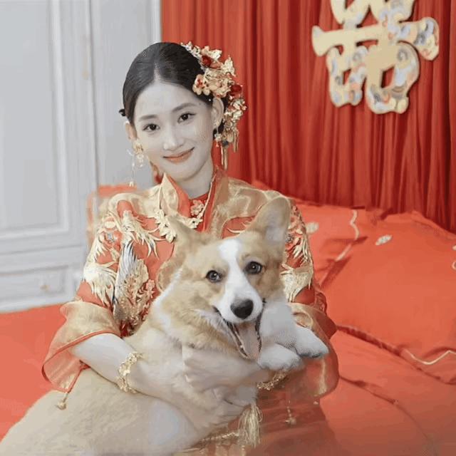 狗狗：妈妈酱～今天这么大喜的日子也要动手吗？呜呜呜~​​​