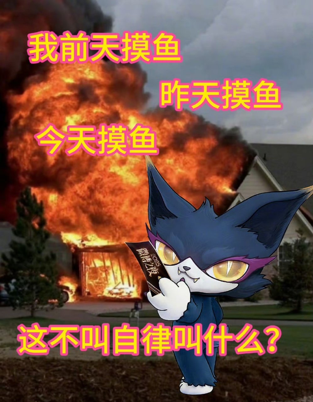 喵娲娲为什么有微博之夜门票酸成柠檬精了！喵娲娲的微博之夜门票，真的馋哭我了