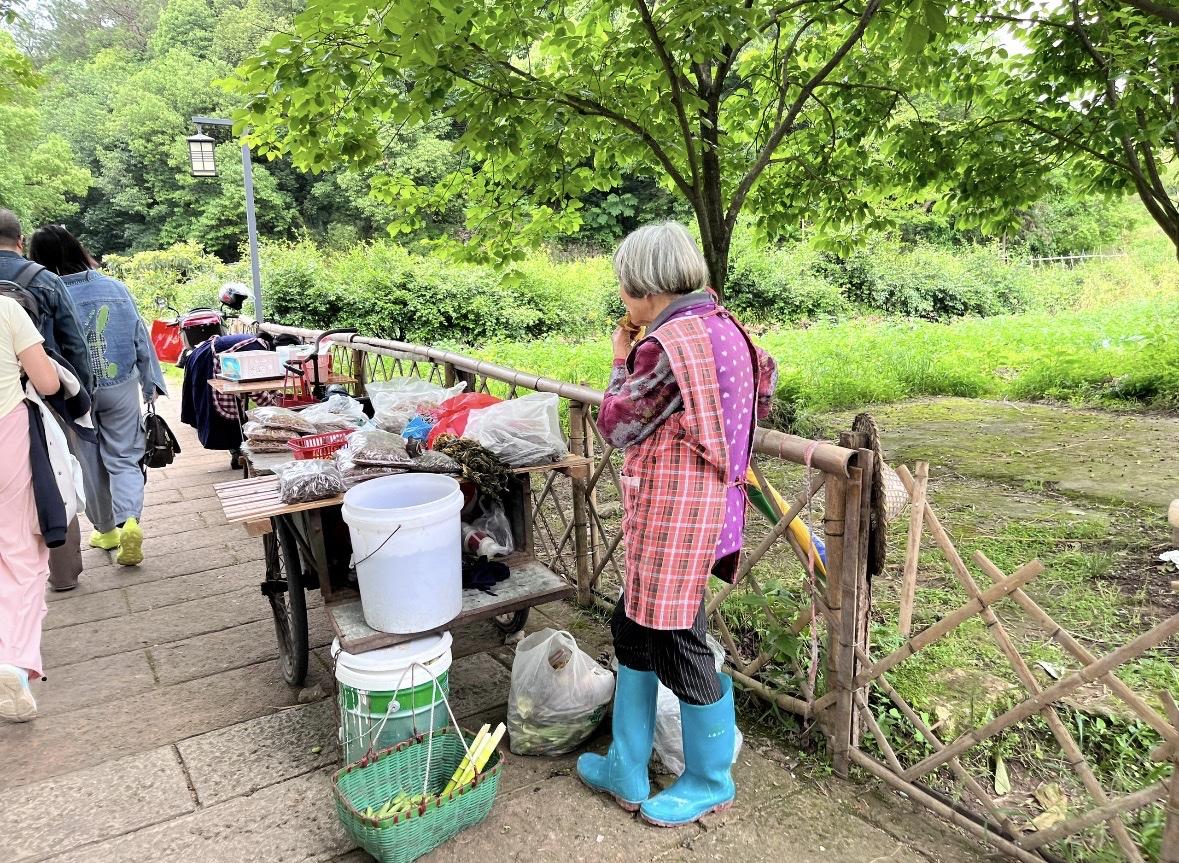 去了一趟浙江，我算是彻底被治好了“职场焦虑”。原以为那些写字楼里的PPT汇报