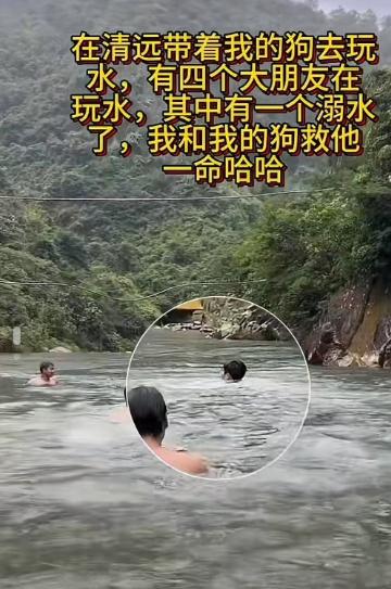 好感人的狗狗！一男子因和伙伴在河里游泳进入深水区导致溺水，结果一只懂事的狗狗游过