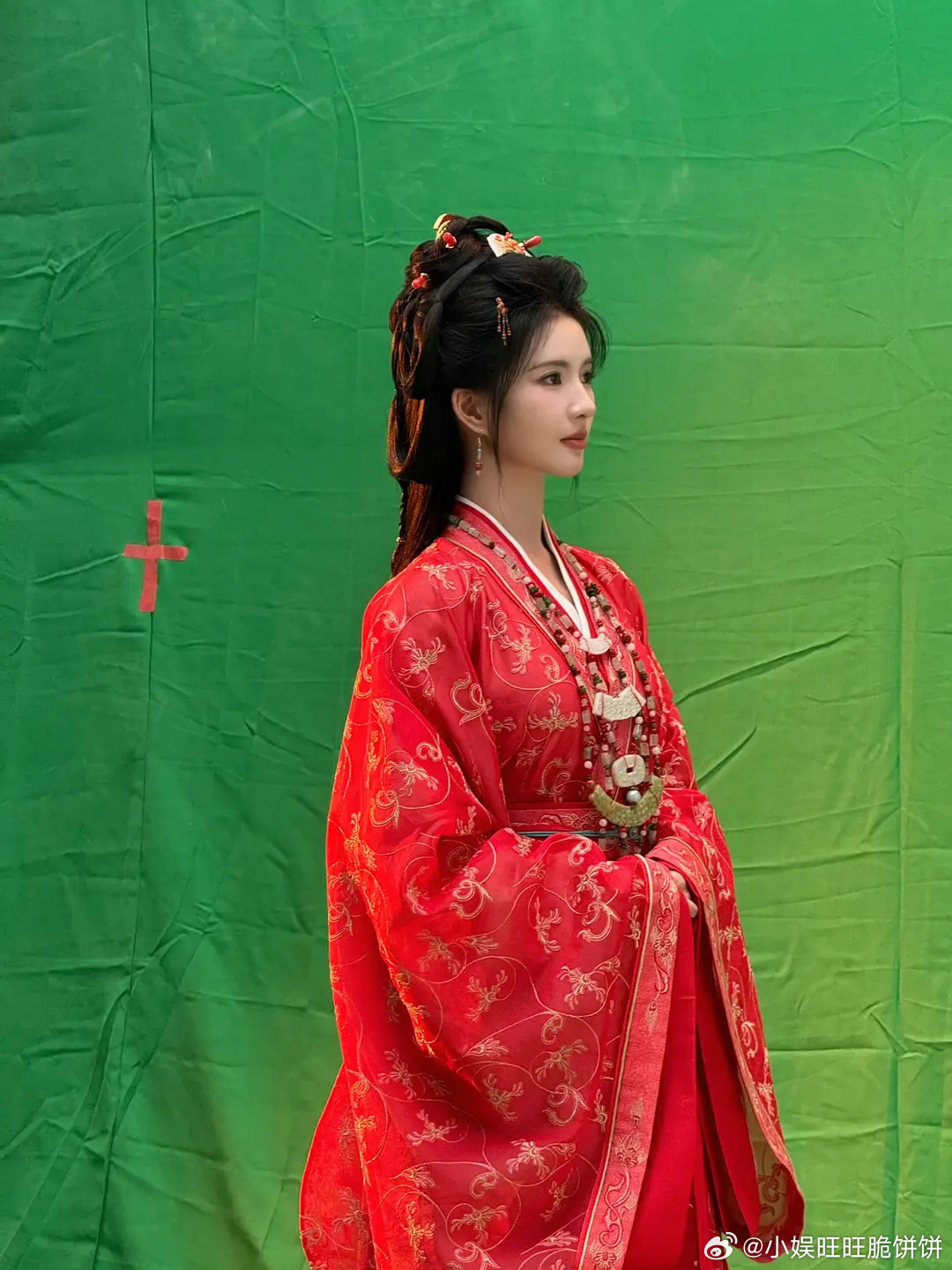 刘些宁好像宫斗游戏立绘啊