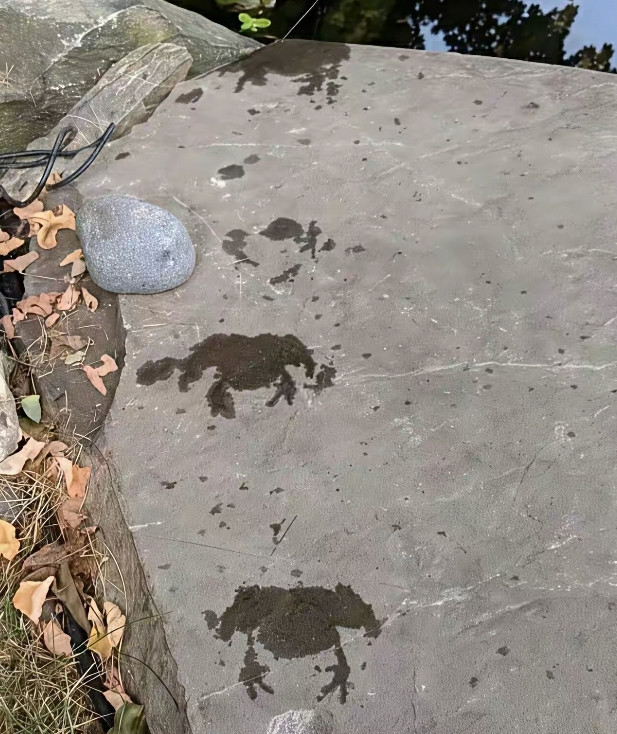 笑得有些停不下来