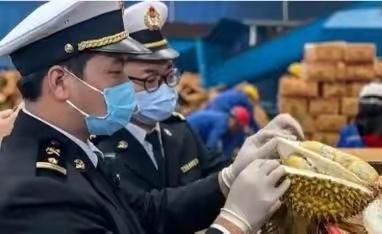 赚中国人钱还毒害中国人？谁能料到，泰国榴莲这事越挖越吓人，这泰国榴莲里竟藏着