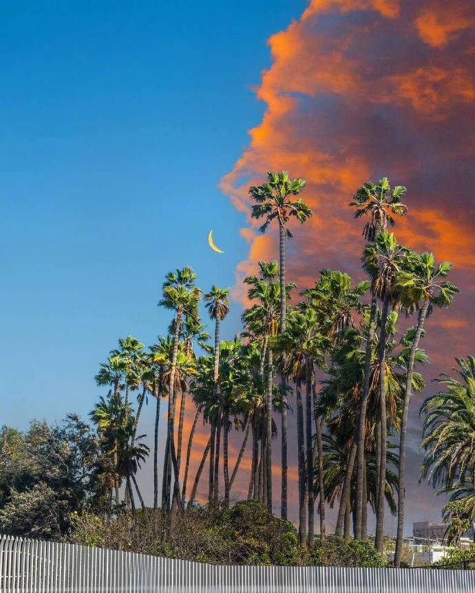 有哪些值得深思的句子？1.别为难自己，活的像你自己就行了。——东野圭吾《变身》2