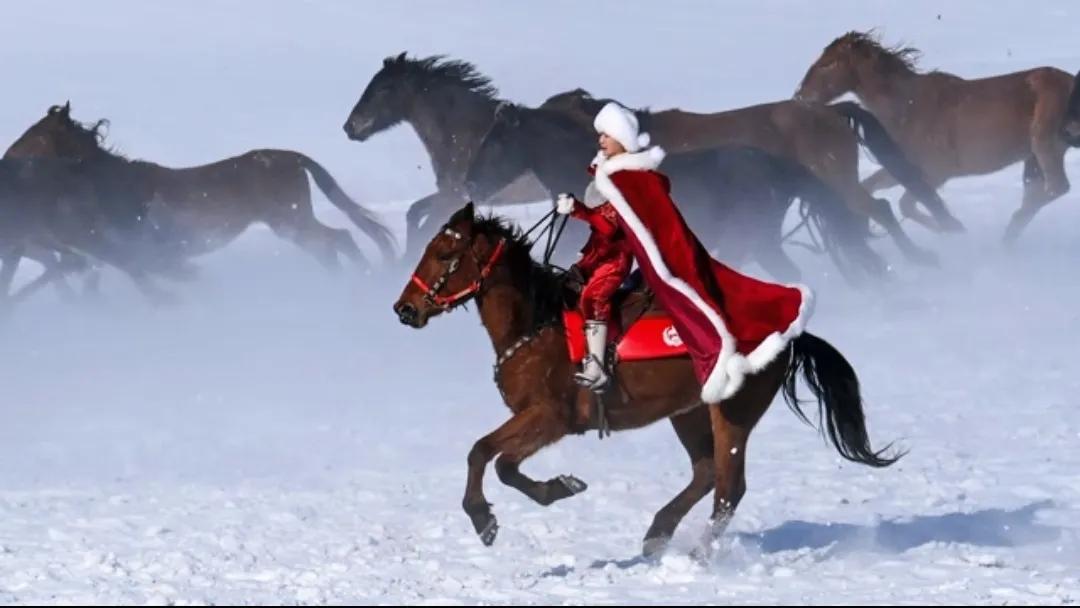 以前刷到贺娇龙策马雪原的视频，觉得这女局长真飒，跟侠客似的。结