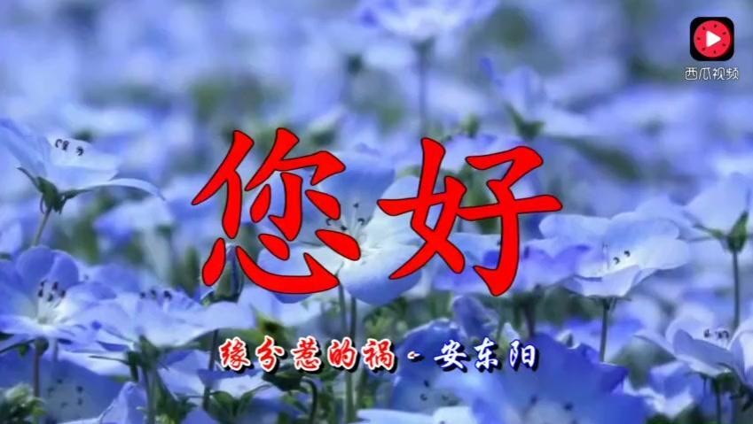亲爱的妈妈曲谱教学_亲爱的妈妈(5)