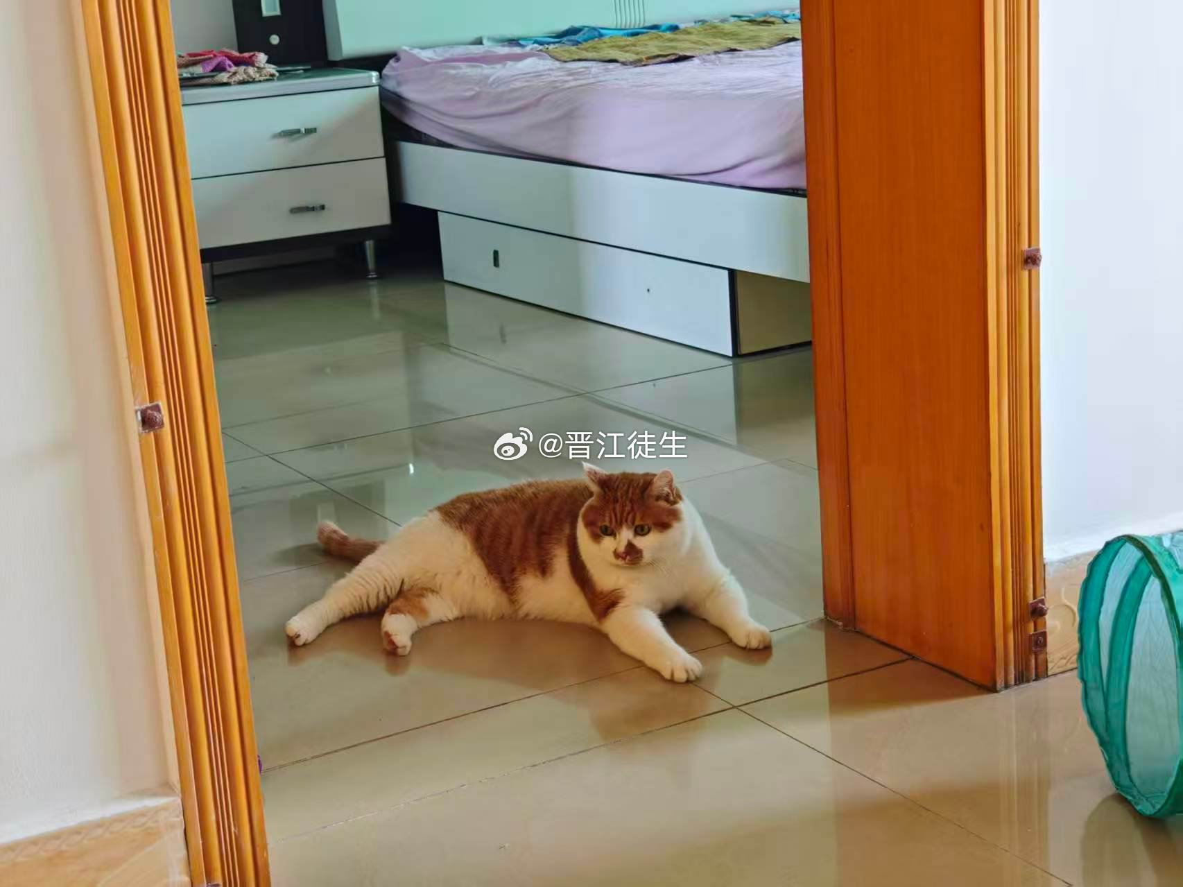 带阿黄回去住180平的大房子了。还去吃了哑巴兔哑巴兔，我最爱的哑巴兔~~