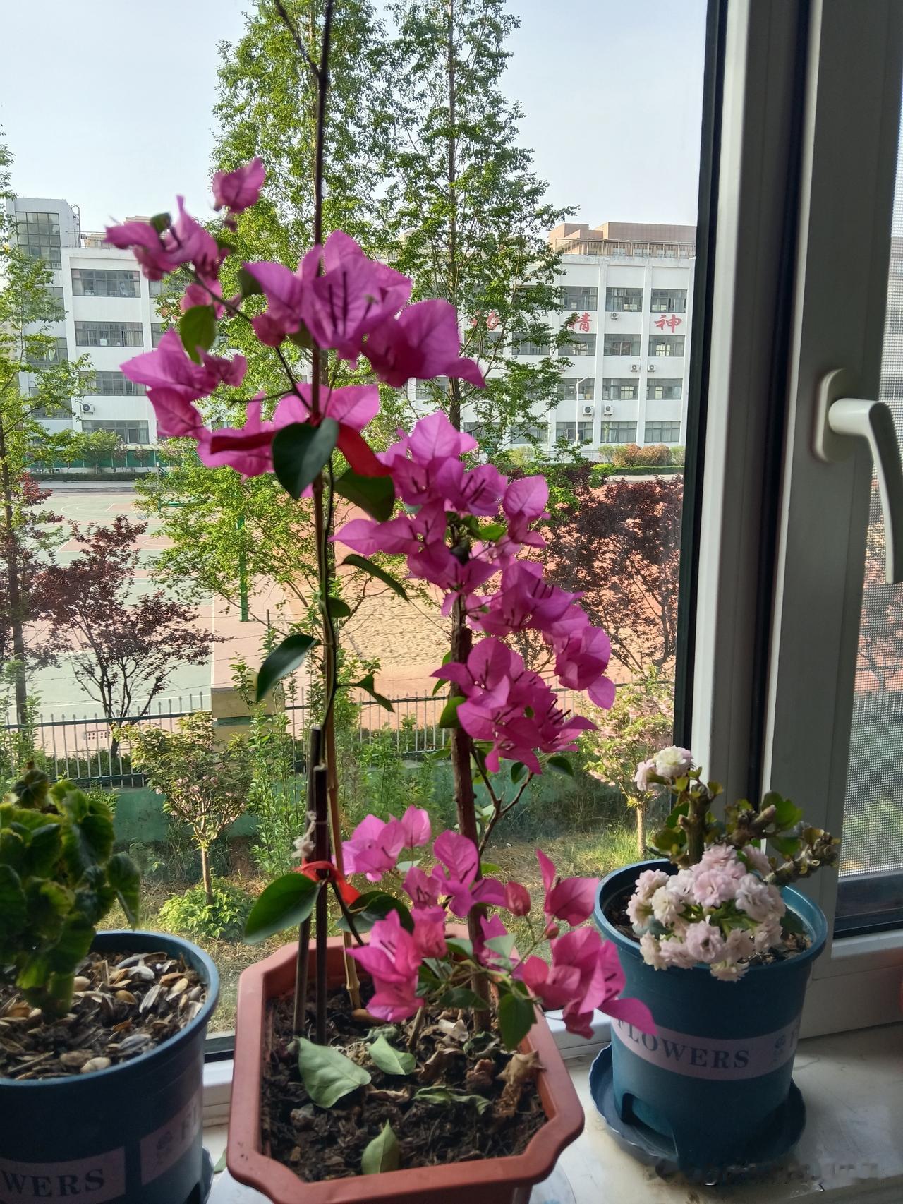 你的生肖暴露了你的命属鸡---享福的命属龙---多情的命属兔---谨慎的命