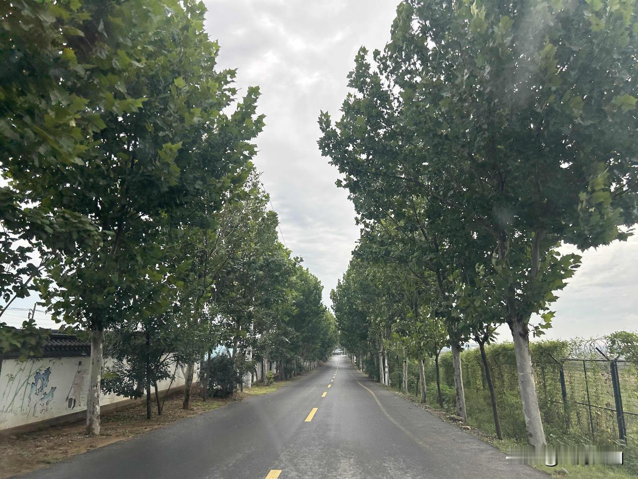 当了这么多年领导，越干越明白一个理：职场里最没用的管理者，就是天天当“甩手掌柜”