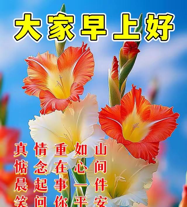 清晨向阳，心生欢喜✨日子不必轰轰烈烈，平安顺遂就好；生活无需万般繁华，三餐温暖