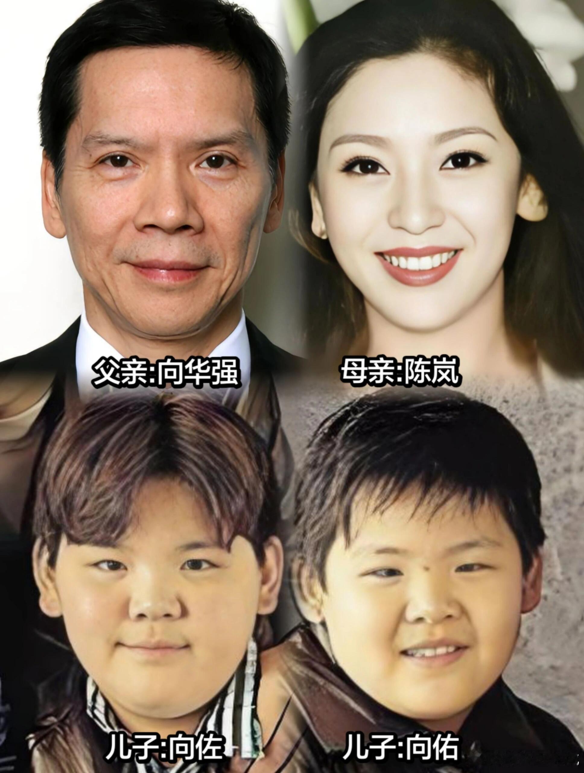 向佐向佑：同个豪门，两种人生，真相扎心。同一个豪门，同样的爸妈砸钱，养出的两个儿