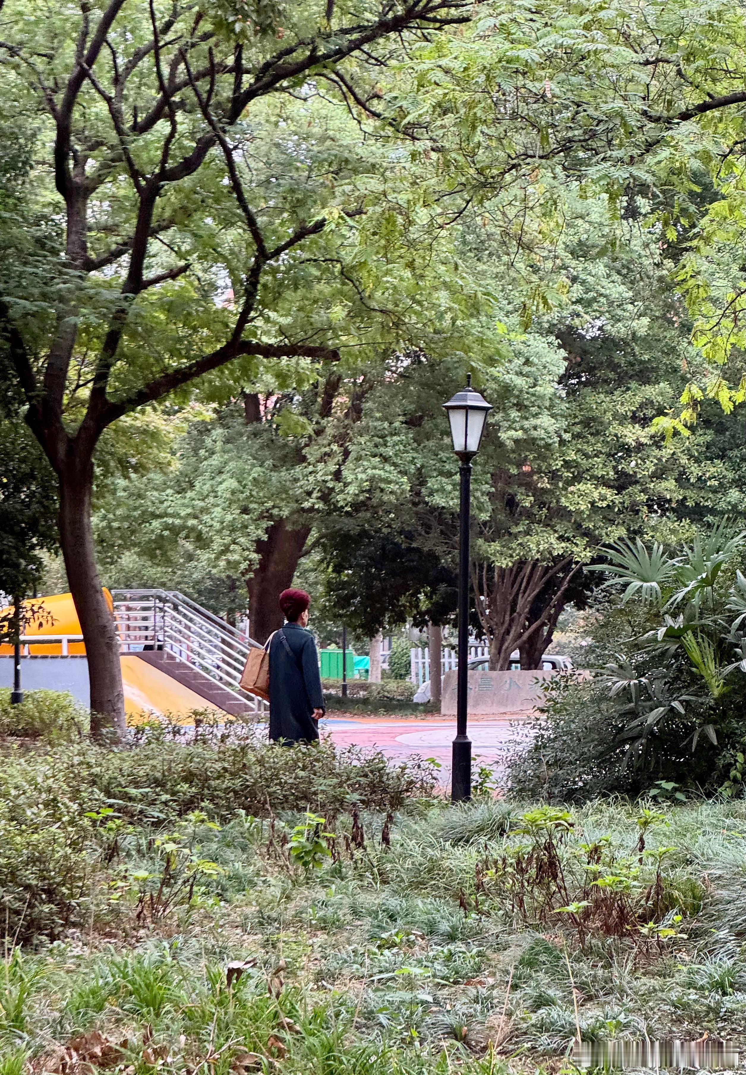 照片里的这位红发女士住我们家附近几乎每周都能碰到好几次每次碰到她都身着红色旗袍，