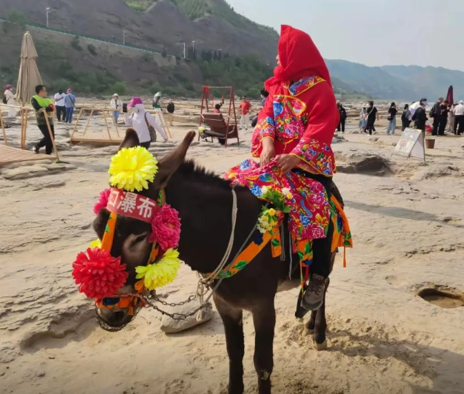 最近，一头山西的驴，因其在壶口瀑布旅游景区行为“不检点”，被一女游客投诉