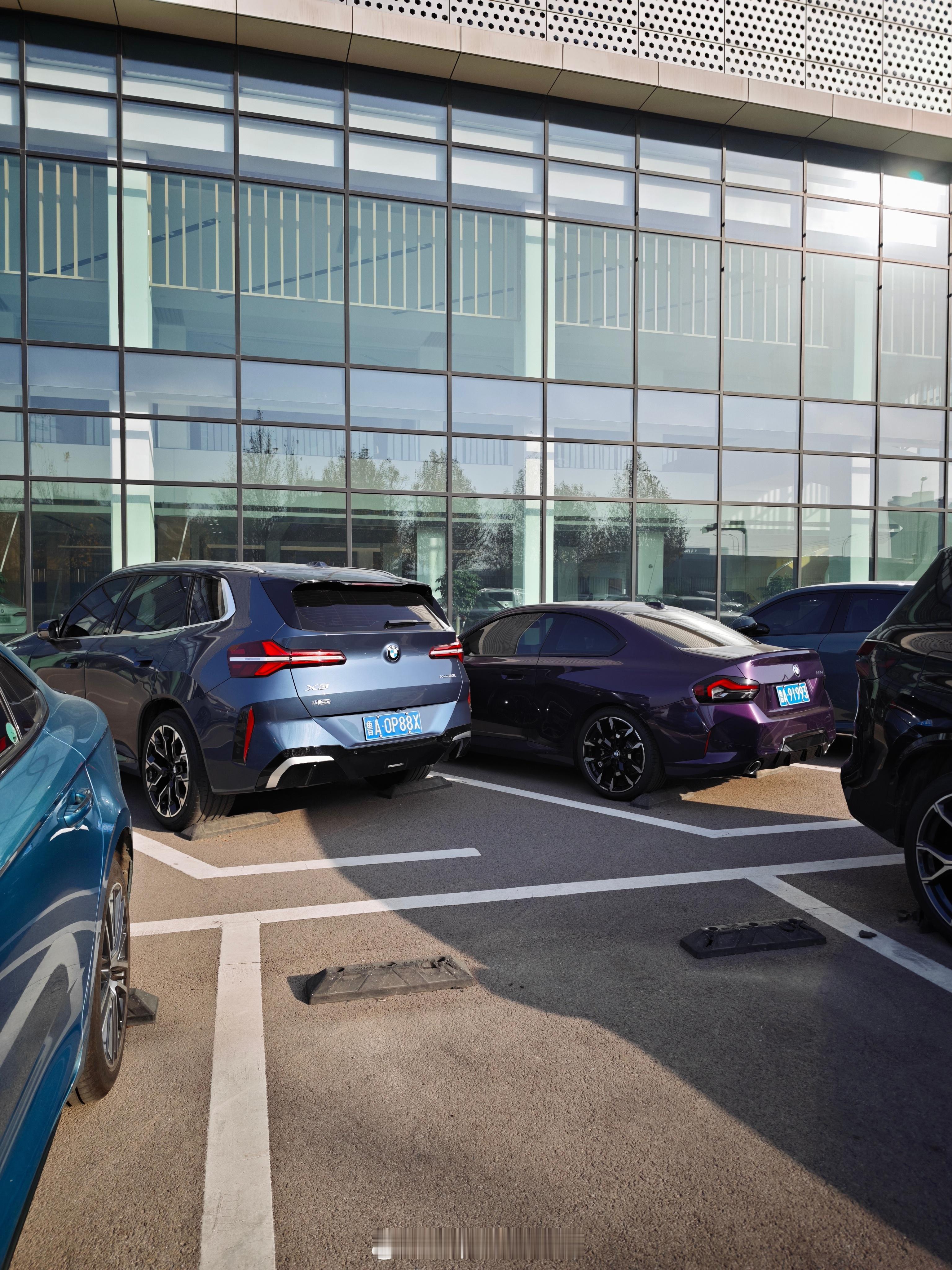 闪电紫是好看的