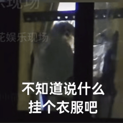 刷到zy广场很多人都在等回应恋情，我这有，zy也是吃了拉窗帘的亏拉窗帘不拉窗