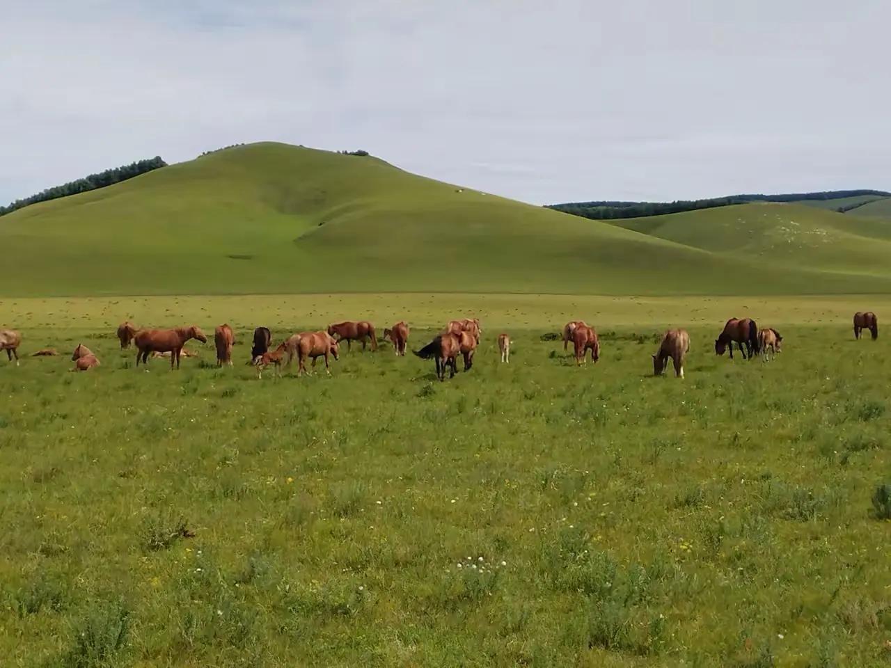 长期吃降压药，会不会把肾吃坏？这是我听过最扎心的问题长期吃降压药，会不会把