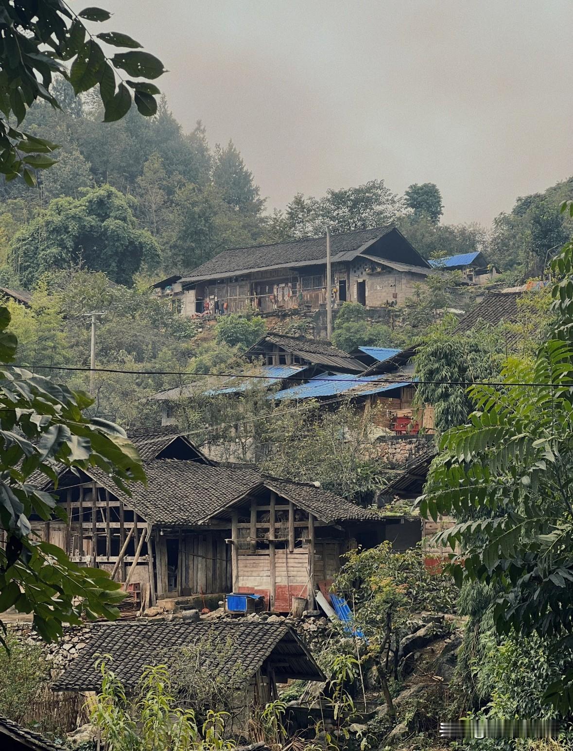 我妈去过小姨家回来后，就一个劲的夸表弟孝顺，我说怎么个孝顺法，你说我听听。我妈