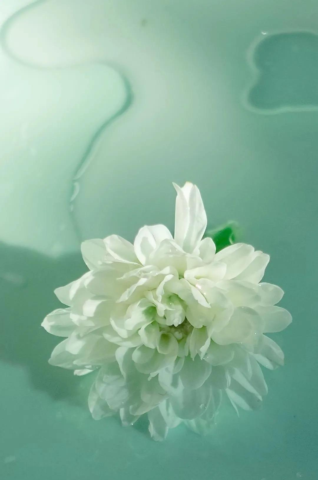 弘一法师说：这一世，我已醒来，人世间所有的情缘都已看淡放下，不与任何人再结任何缘