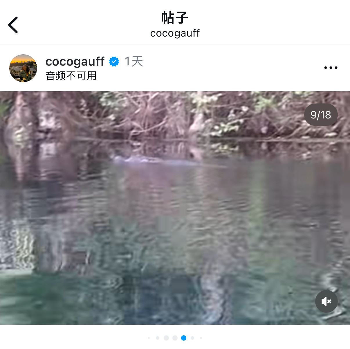 昨天在佛罗里达野外水域拍到鳄鱼的高芙，今天抵达蒙特利尔开始备战热点现场